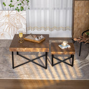 Modern Retro Splicing Square Coffee Table Set of 2
